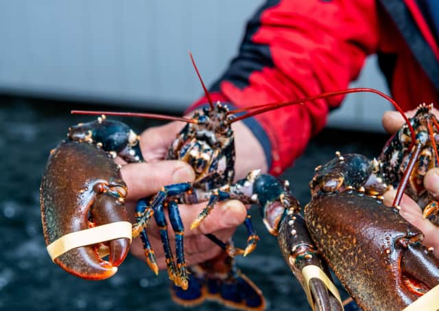 Bridlington Harbour saw the landing of £10million of shellfish in 2019.
