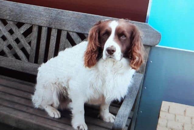 The three dogs were taken from a farm in Thornholme.