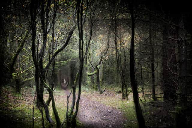 Residuum Exhibition - Image copyright Peter Heaton - Forestry England