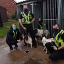 Members of Humberside Police's Rural Task Force with the three dogs.