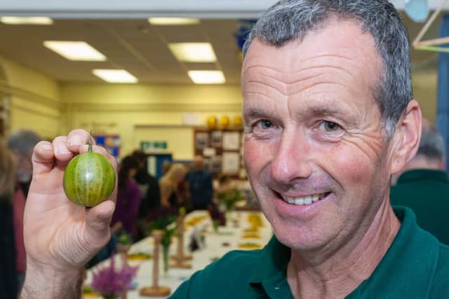Defending champion Graeme Watson with his word record-winning gooseberry.
picture: Egton Bridge Old Gooseberry Society