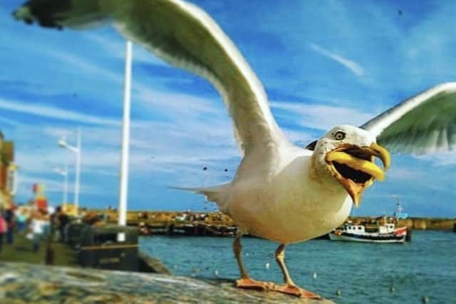 The photograph, which caused a stir a decade ago, was captured on a iPhone 3 while holidaying in Bridlington.