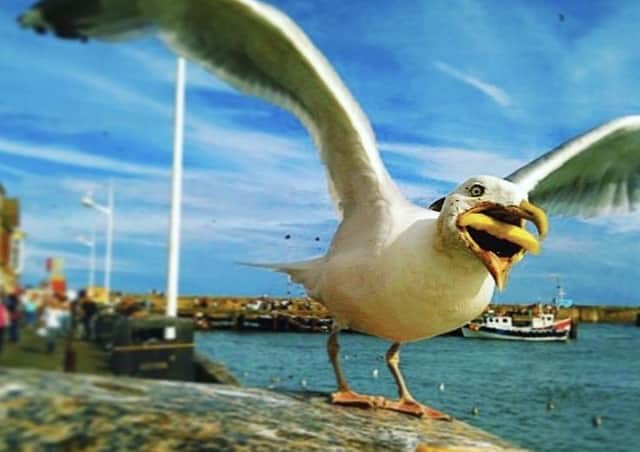 The photograph, which caused a stir a decade ago, was captured on a iPhone 3 while holidaying in Bridlington.