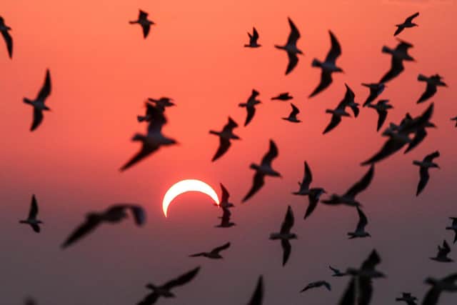 This picture taken early on December 26, 2019 shows partial solar eclipse in Kuwait City. Photo by Yasser Al-Zayyat/AFP via Getty Images