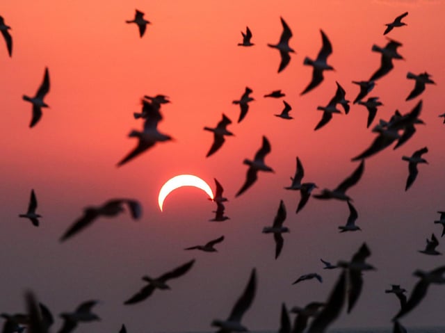 This picture taken early on December 26, 2019 shows partial solar eclipse in Kuwait City. Photo by Yasser Al-Zayyat/AFP via Getty Images