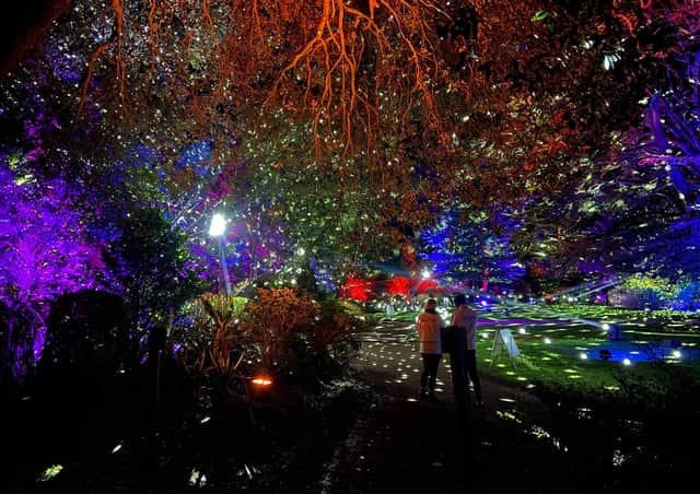 The Sewerby Winter Woodland event will run from Friday, December 3 to Thursday, December 23.