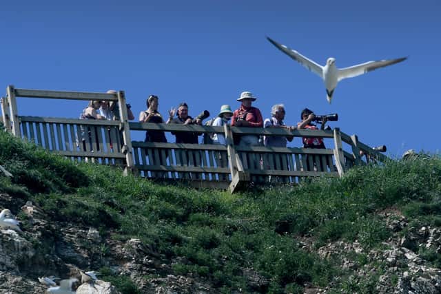 Seabird cruises aboard the Yorkshire Belle are popular with visitors to RSPB Bempton Cliffs. Picture by Simon Hulme