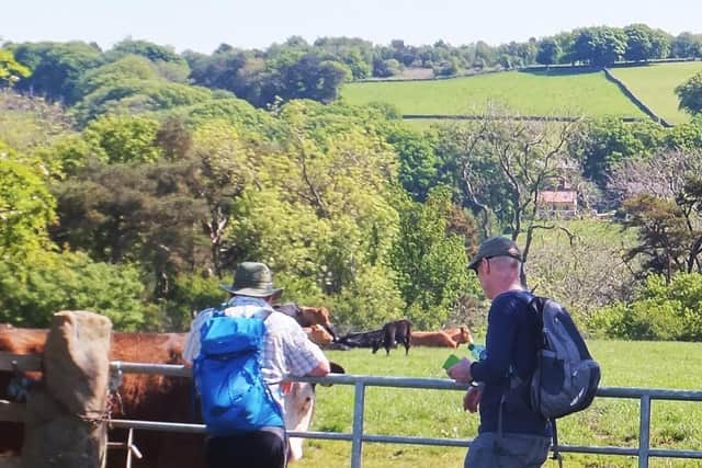 Walkers enjoying the rural views.