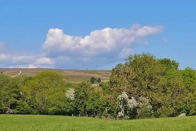 Scenery above Littlebeck.