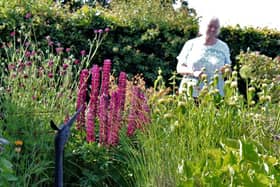 Hutton Buscel Open Gardens will take place at the end of July
