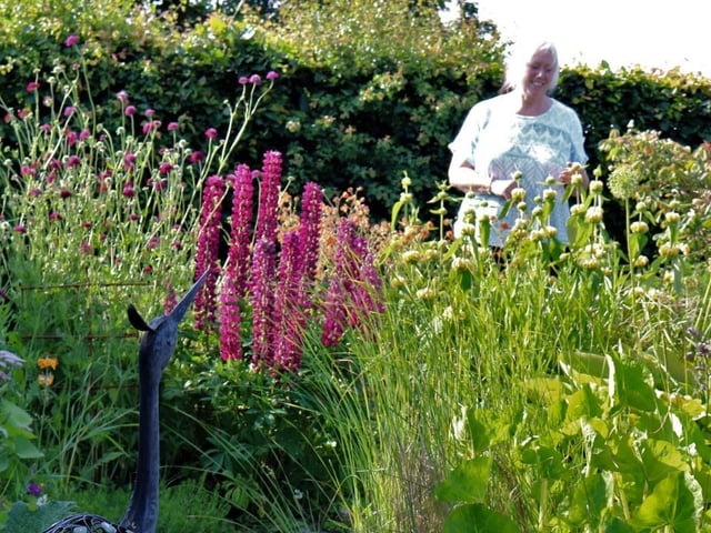 Hutton Buscel Open Gardens will take place at the end of July