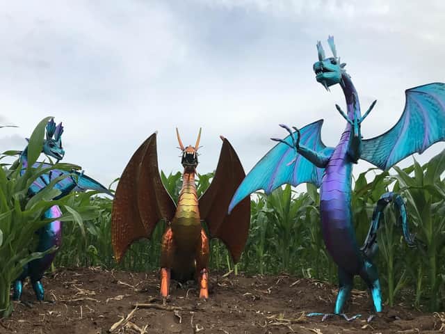 Dragons in the Great Ryedale Maze