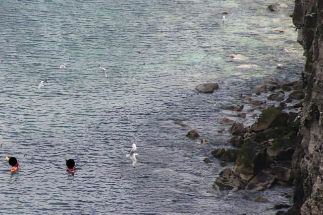 Two kayakers were spotted venturing too close to the base of the cliffs.