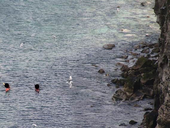 Two kayakers were spotted venturing too close to the base of the cliffs.