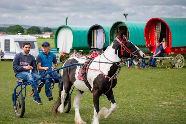 Seamer Horse Fair. Picture: JPI Media/ Harry Atkinson