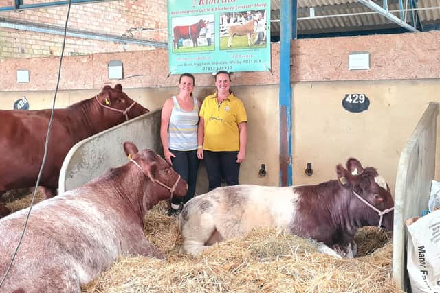 Kim (left) and Katrina Ward with Nina and Peggy.