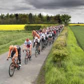 The peloton passes through North Yorkshire countryside during the 2019 Tour de Yorkshire.