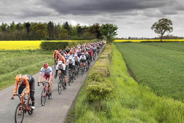 The peloton passes through North Yorkshire countryside during the 2019 Tour de Yorkshire.