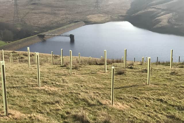 Yorkshire Water's tree planting at Gorpley in partnership with the Woodland Trust. Photo submitted
