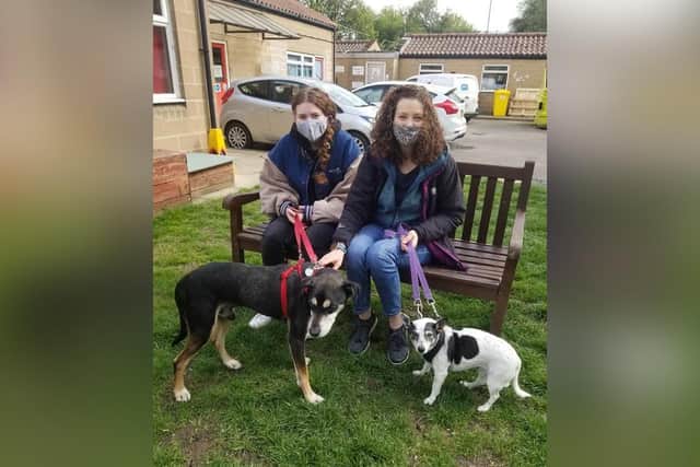Fiona Cunniff and her daughter Amelie with Bill and Nelly the Jack Russell.