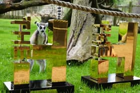 The hundred trophies visit Flamingo Land