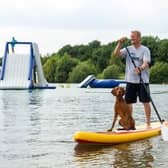 The Park's operations manager James Whitehead takes his dog out on a paddle board