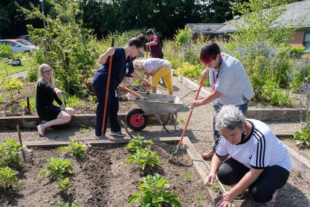Team effort: Gardening group members at work