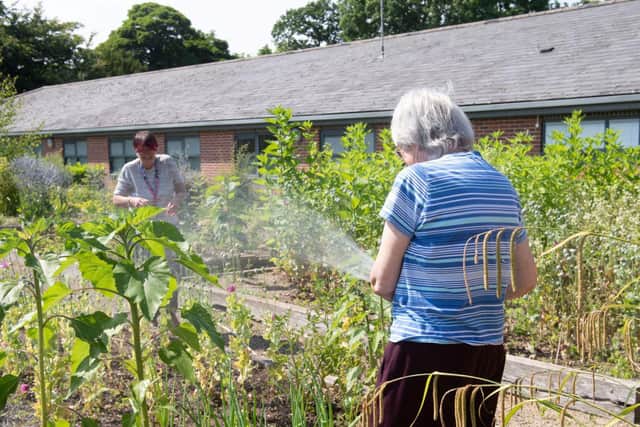 Natural therapy: Gardening helps mental health issues