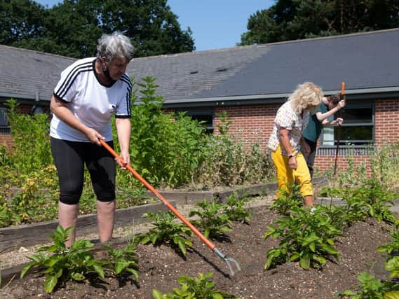 Hoe down: Gardeners tend growing beds