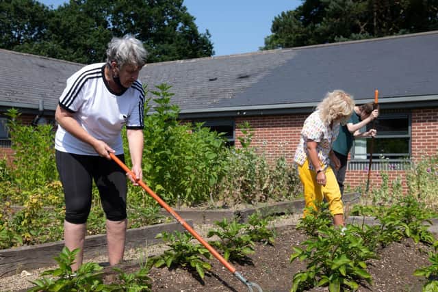 Hoe down: Gardeners tend growing beds