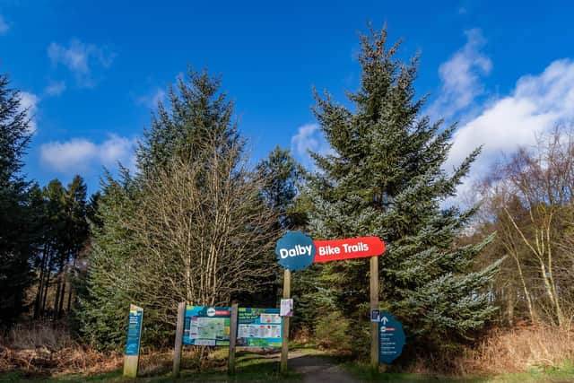 A biker suffered a significant cut after falling in Dalby Forest.