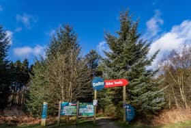 A biker suffered a significant cut after falling in Dalby Forest.