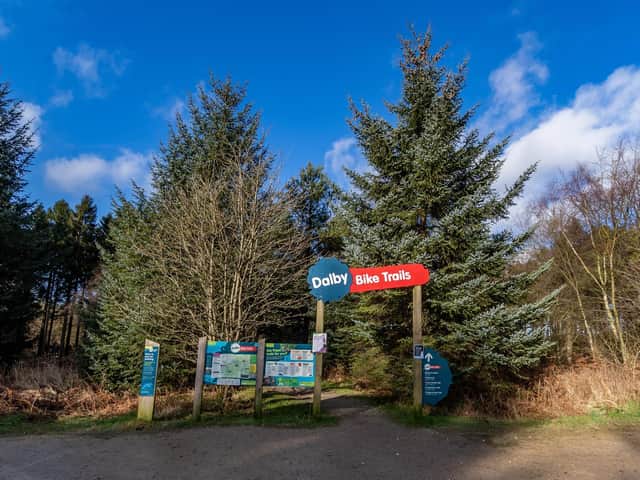 A biker suffered a significant cut after falling in Dalby Forest.