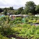 The waiting list for allotment sites in Scarborough is between 150 and 250 people, with only 97 plots available.
