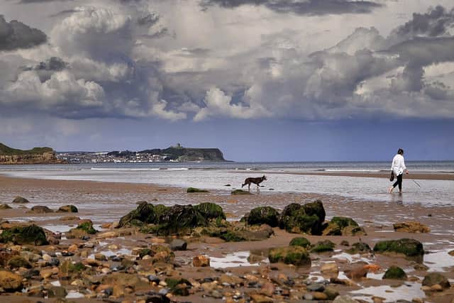 The Yorkshire coastline at Cayton Bay near Scarborough. Picture: JPI Media/ Richard Ponter