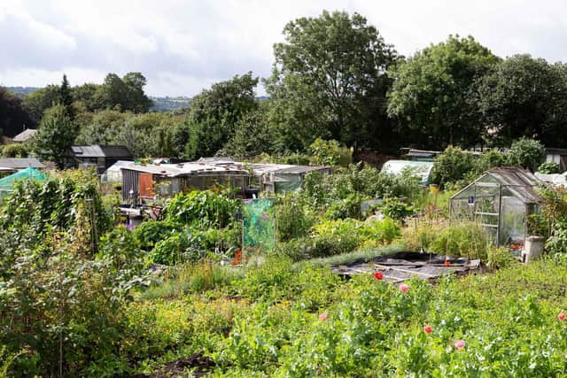 The waiting list for allotment sites in Scarborough is between 150 and 250 people, with only 97 plots available.