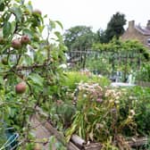 Providing allotments is a statutory obligation for the council and provides a modest income of around £3,000 each year.