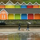 Dog walkers brave the rain in Scarborough's North Bay.