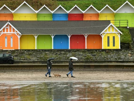 Dog walkers brave the rain in Scarborough's North Bay.