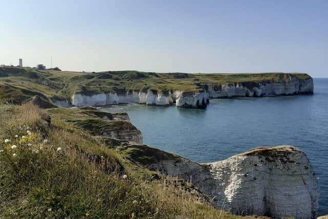 This great photograph of the cliffs at Flamborough was captured by Carol Jackson.