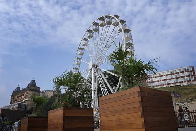 Large wooden planters have been installed on Foreshore Road along the seafront.