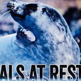Disturbance is damaging for a seal as it interrupts their rest.