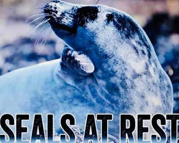 Disturbance is damaging for a seal as it interrupts their rest.