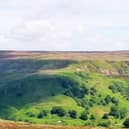 Upper Rosedale.
