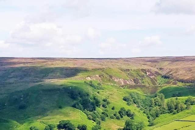 Upper Rosedale.