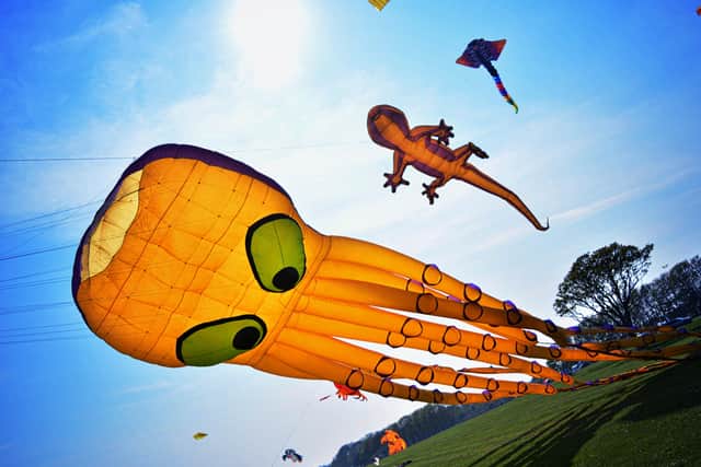 The Bridlington Kite Festival returns to Sewerby Fields next month.