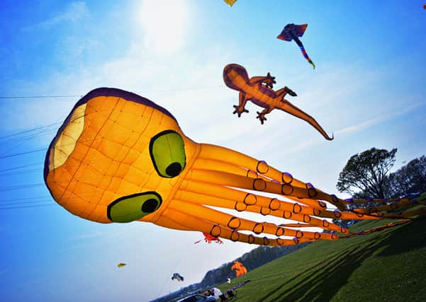 The Bridlington Kite Festival returns to Sewerby Fields next month.