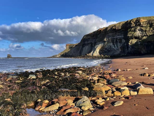 The RNLI and coastguards were called to rescue a dog which had fallen from a cliff near Whitby.