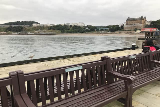 The memorial bench near Scarborough lighthouse and its plaque to the Wrens.