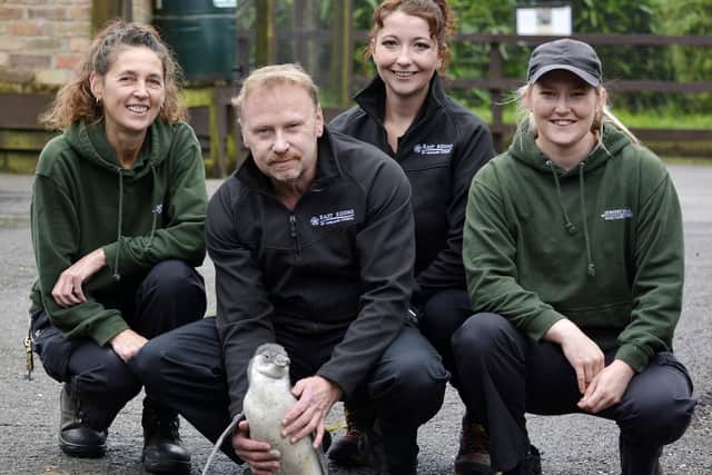 Pickle the penguin with members of staff at Sewerby Hall zoo.